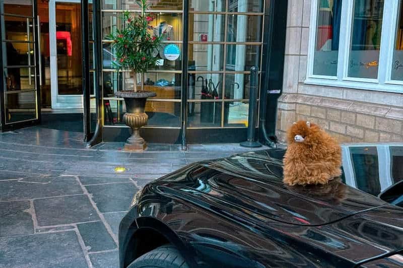 Belgique : Service de transfert aéroport privé