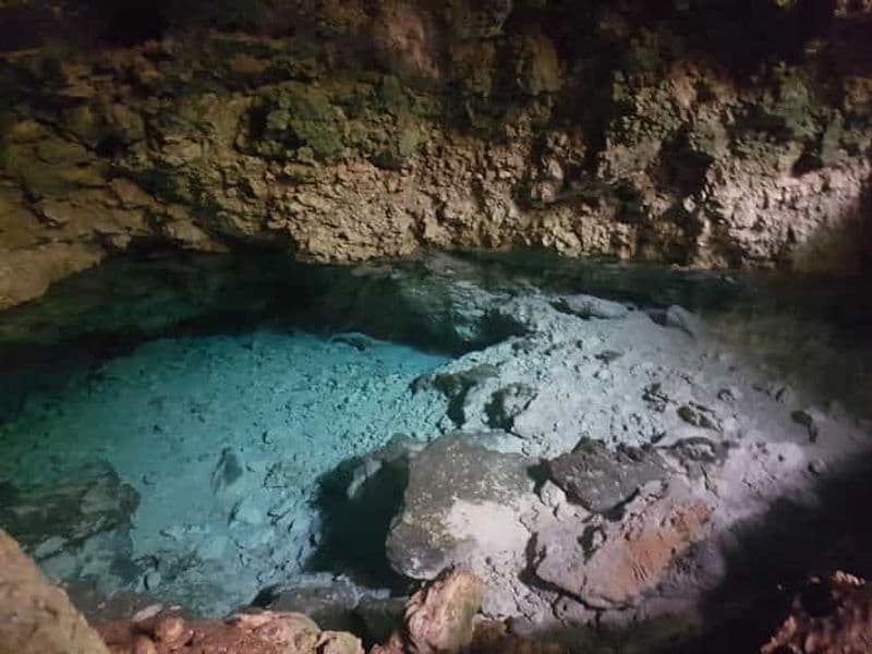 Dauphins +Forêt de Jozani+ Grotte de Kuza+Restaurant The Rock & Paje