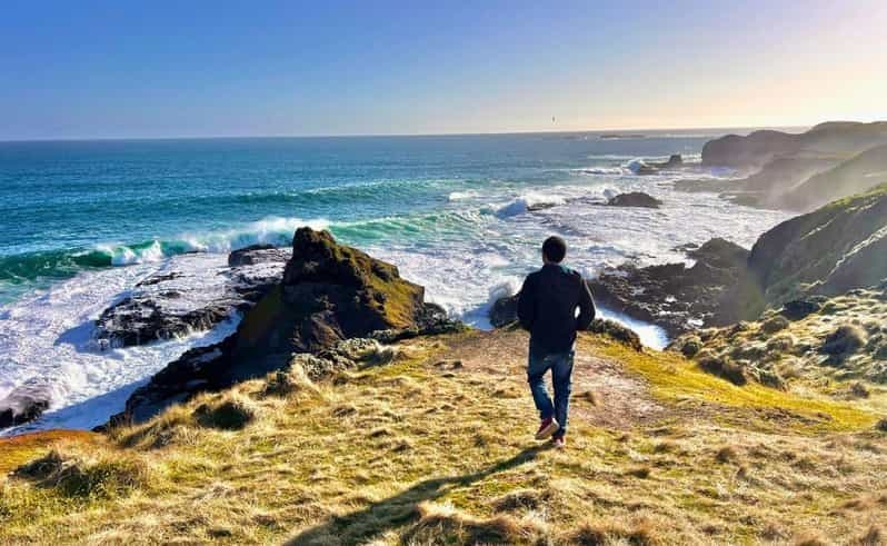 Billet Visite de l'après-midi de la parade des pingouins de Phillip Island au départ de Melbourne