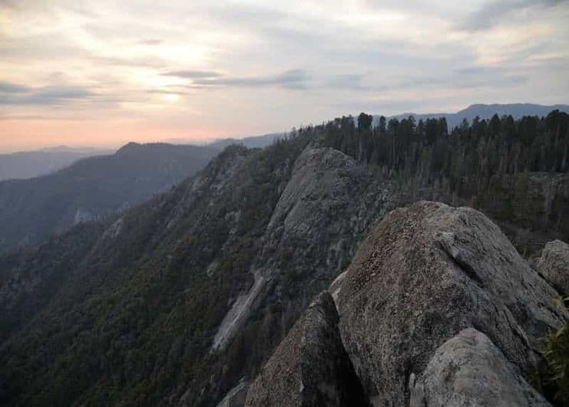 Visite privée d'une journée aux parcs Sequoia et Kings Canyon au départ de Los Angeles