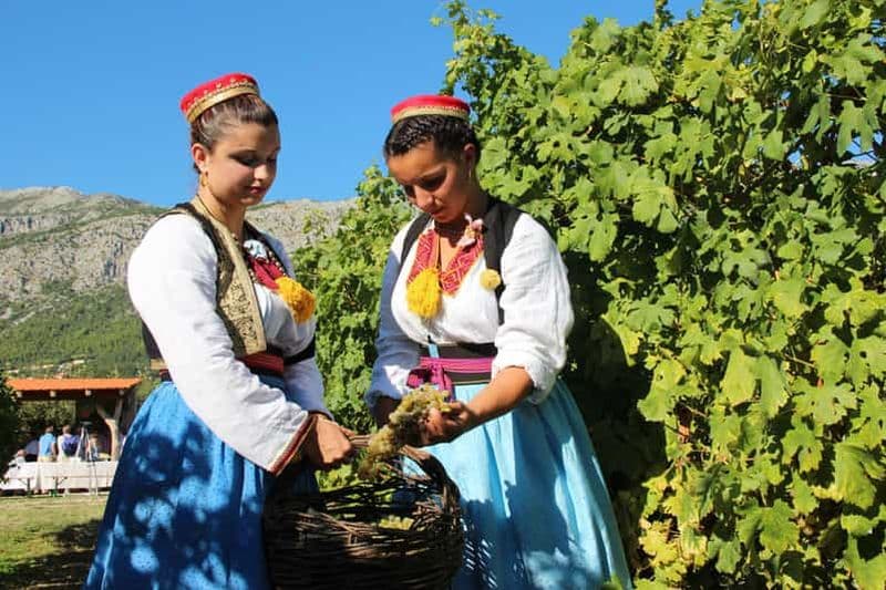 Billet Vallée de Konavle : Visite privée d'une demi-journée avec dégustation de vins