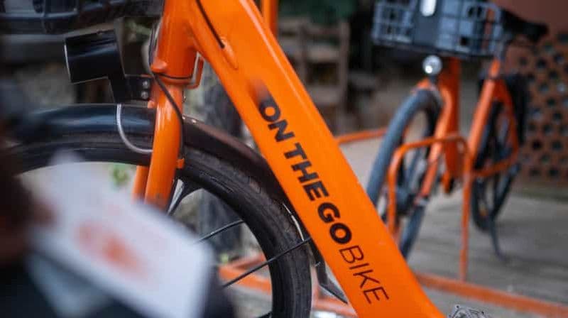 Paje : location de vélo d'une journée avec casque et antivol