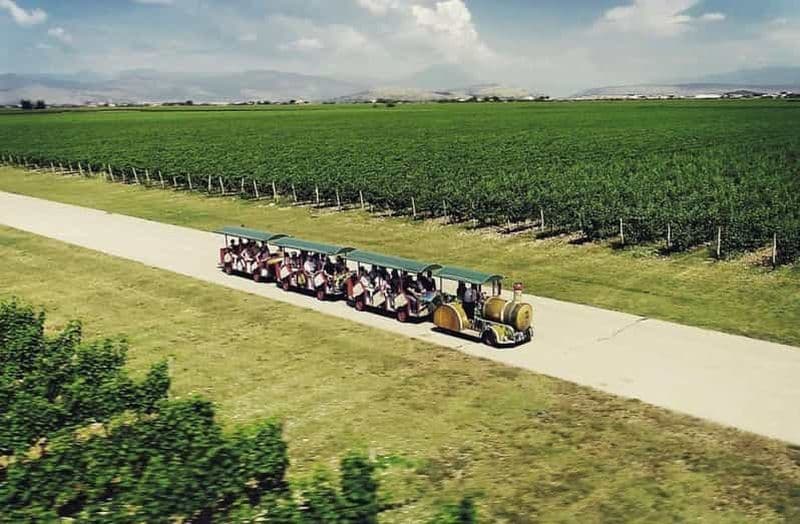 Billet La plus grande cave du Monténégro : visite privée et transport