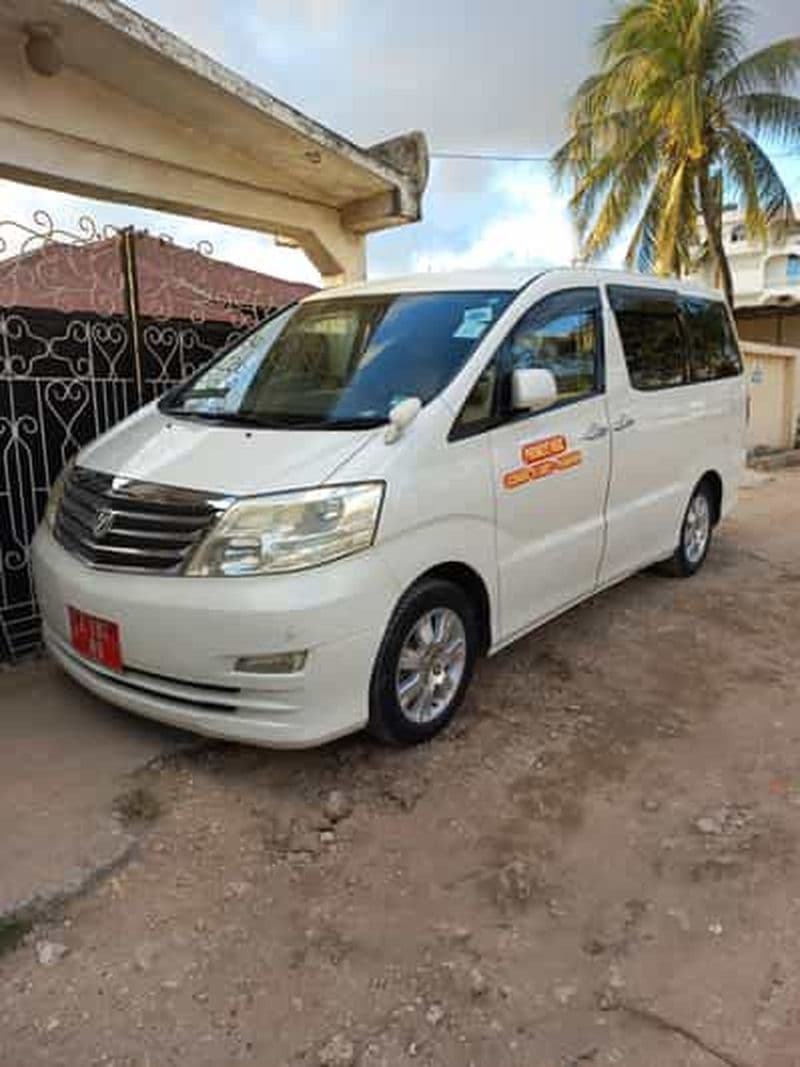 Billet Zanzibar : prise en charge à l'aéroport et taxi privé vers n'importe quelle destination