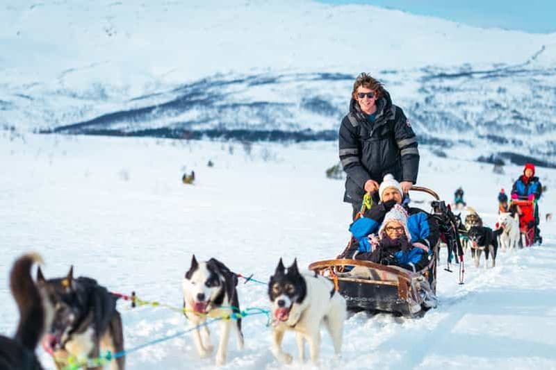 Tromsø : balade en traîneau tiré par des huskys et déjeuner traditionnel