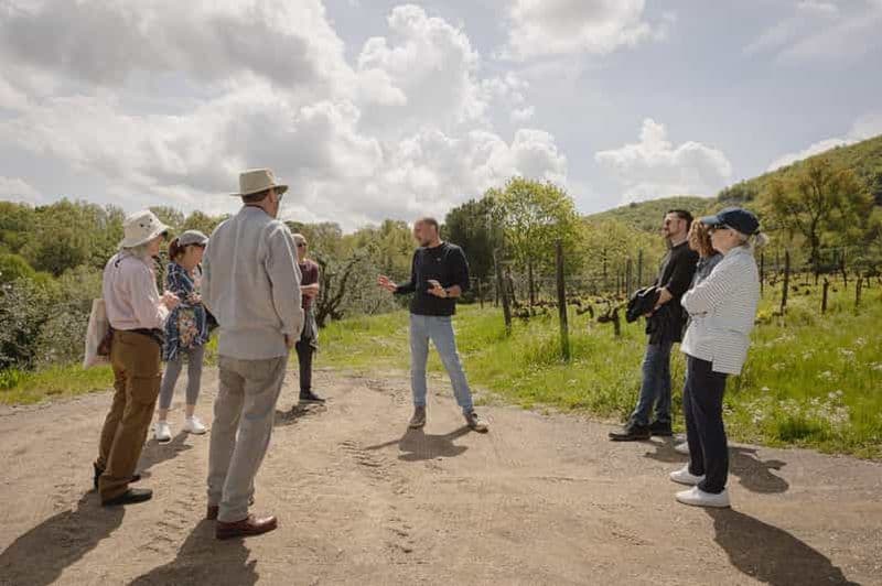 Montepulciano : Dégustation de vins héroïques artisanaux à la terrasse