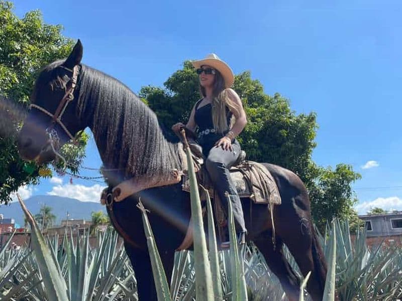 Billet Depuis Guadalajara : la ville de la tequila et Cantaritos El Guero