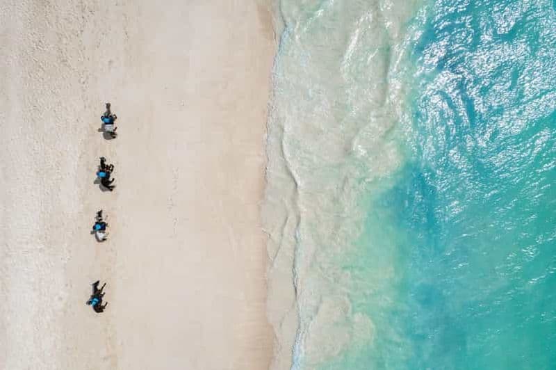 Zanzibar : balade à cheval de 60 minutes
