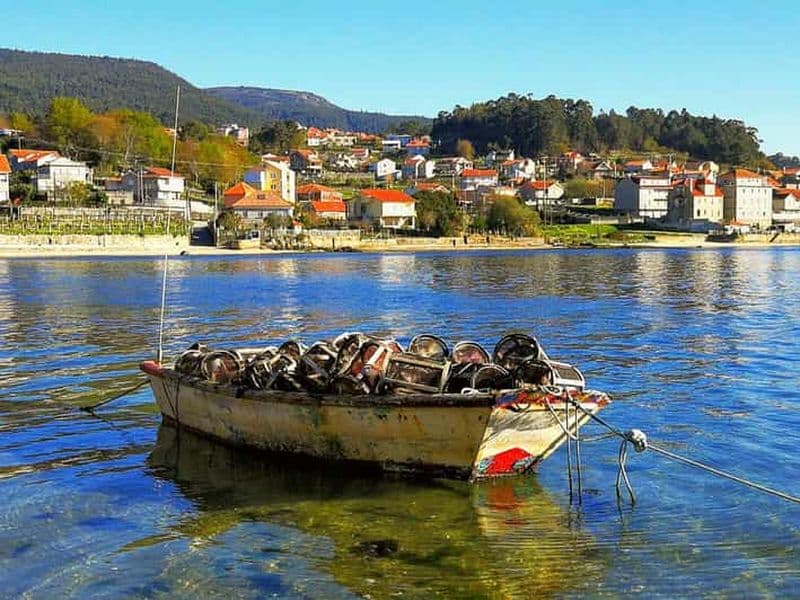 Depuis Santiago : Journée fruits de mer et vins de Rías Baixas en Galice