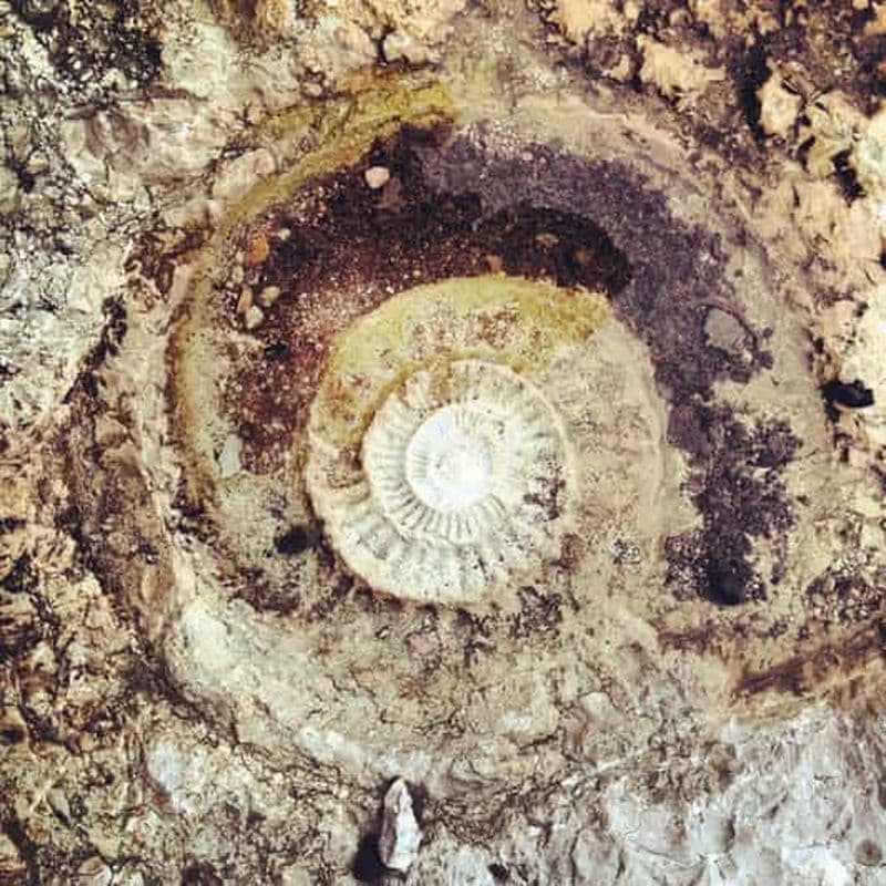 Route jurassique dans le Torcal avec transport inclus depuis Antequera