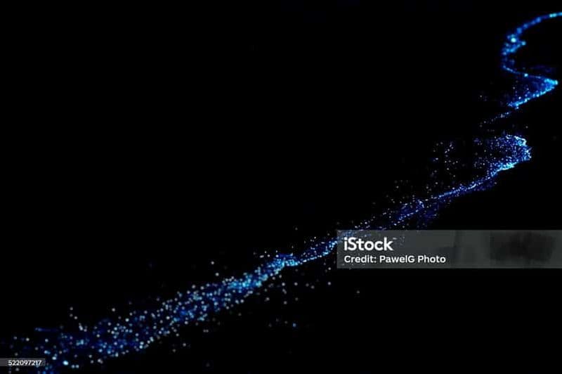 Baie de Lan Ha : kayak de nuit pour observer le plancton bioluminescent