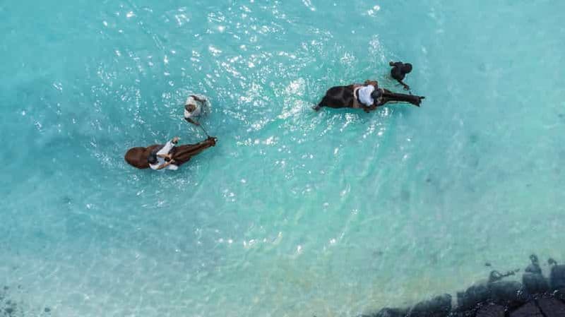 Ile Maurice : Balade à cheval sur la plage