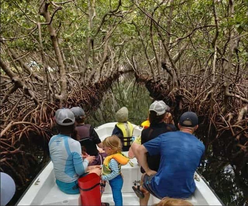 Billet Roatan : Tour en bateau du côté est de la mangrove avec plongée en apnée