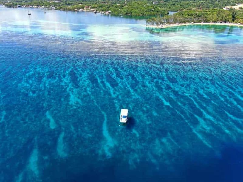 Billet Depuis Roatan : 3 arrêts pour une aventure de plongée avec tuba et une pause plage