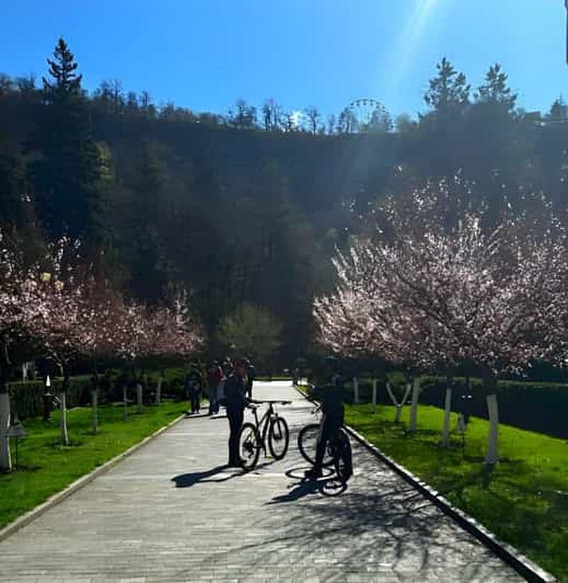 Visite guidée à vélo des gorges de Borjomi