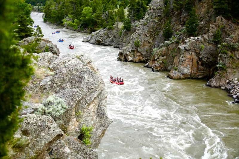Gardiner : Rafting en eaux vives d'une demi-journée sur la rivière Yellowstone