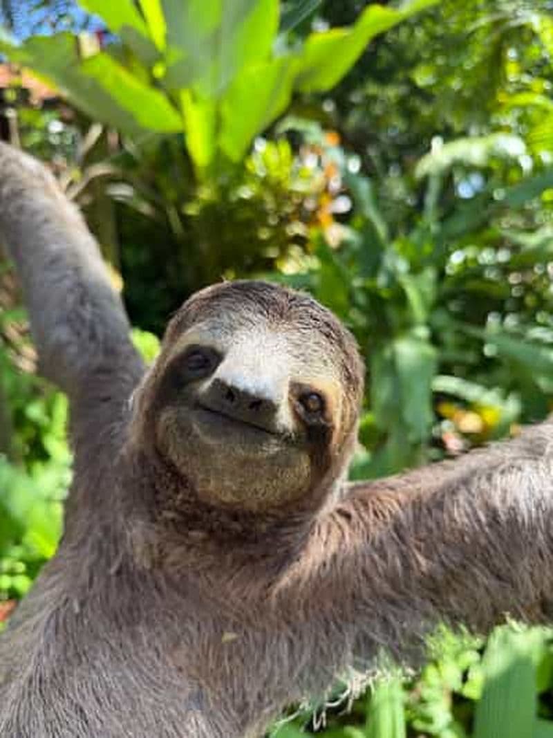 Billet Parc national Manuel Antonio : visite guidée avec ENTRÉE INCLUSE