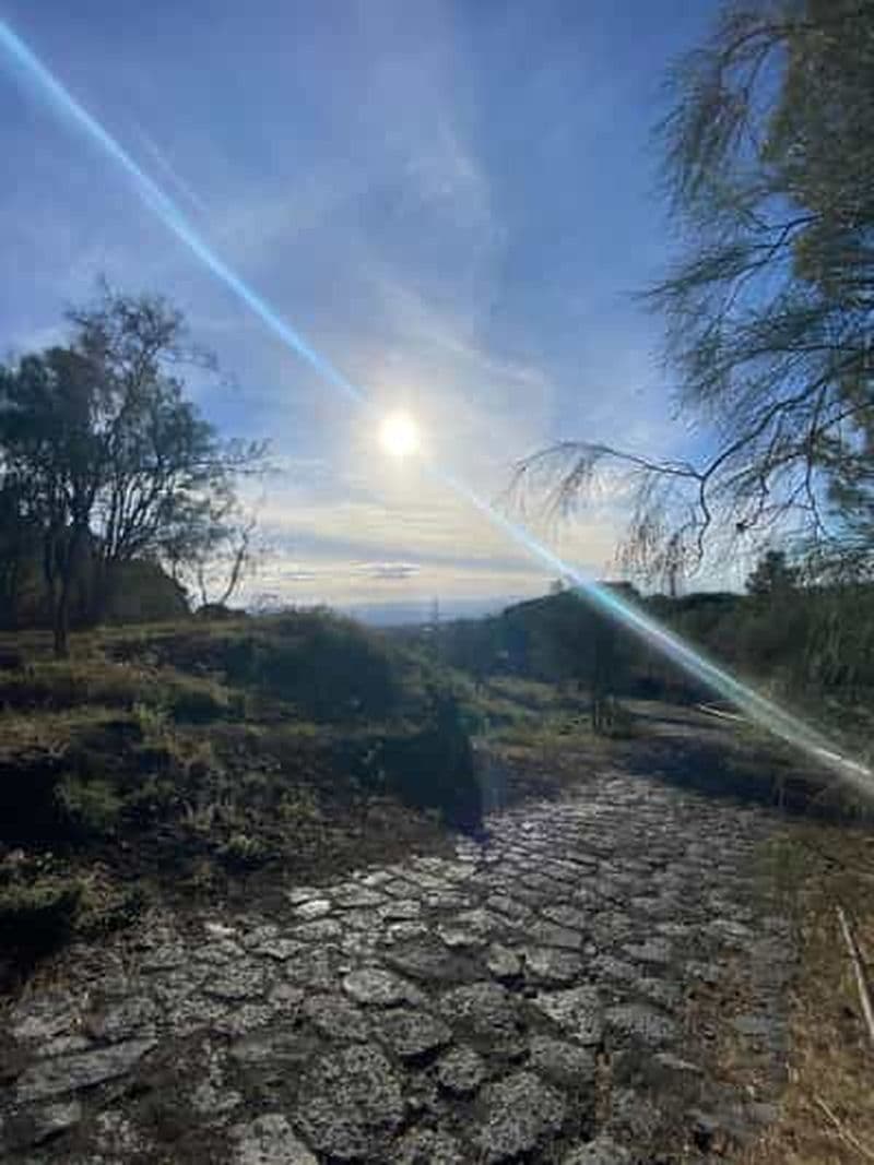 Sicile : excursion à vélo à la découverte des vins avec dégustations