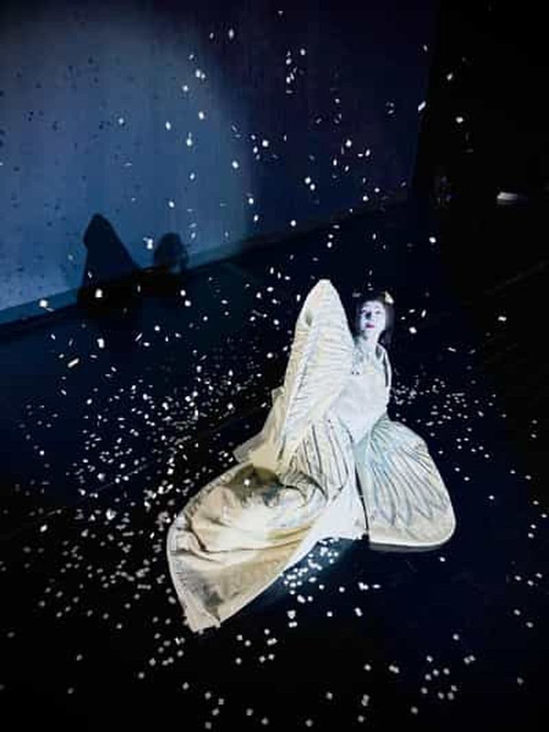 Tokyo : Authentique spectacle de danse japonaise billet par des professionnels