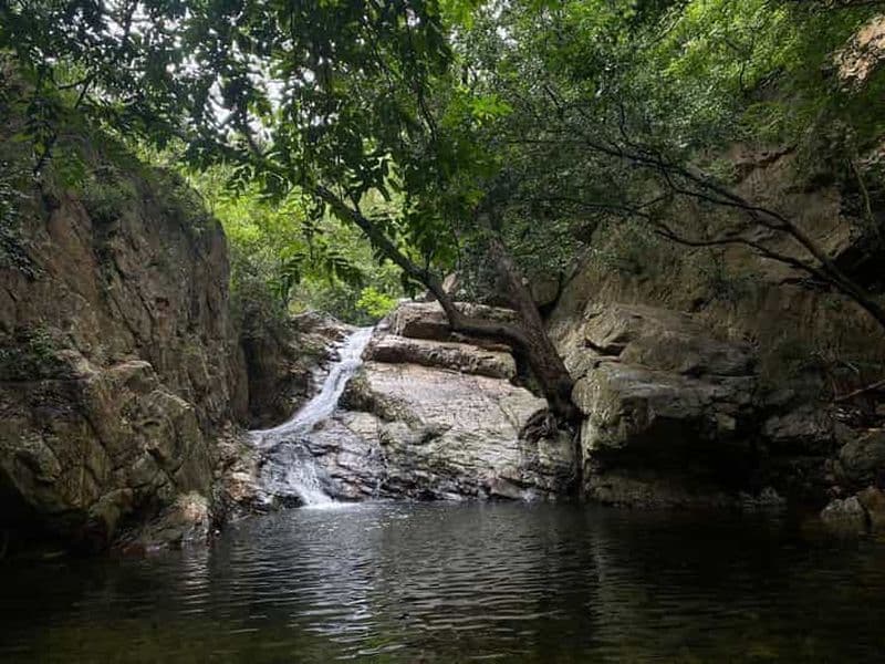 Chennai : randonnée guidée aux cascades avec repas, hébergement et excursion d'une journée