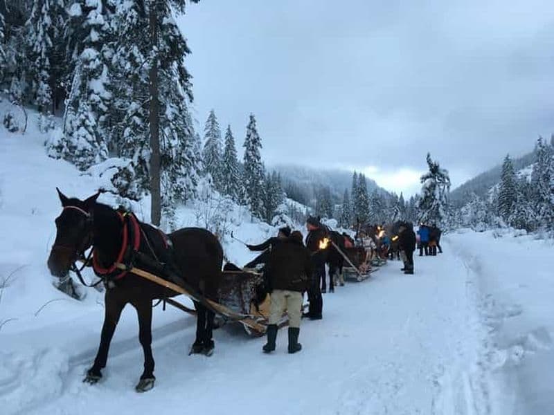 Depuis Cracovie : Promenade en traîneau à Zakopane dans la vallée de Chochołów