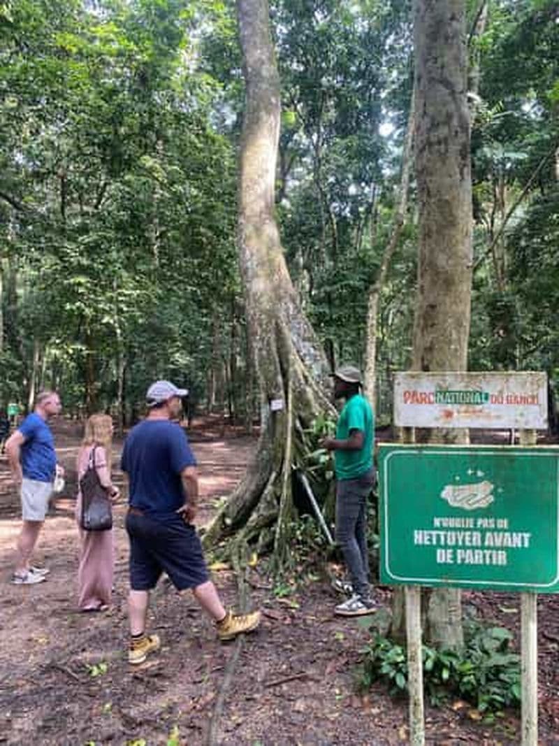 Billet Banco : visite de la deuxième foret primaire urbaine au monde