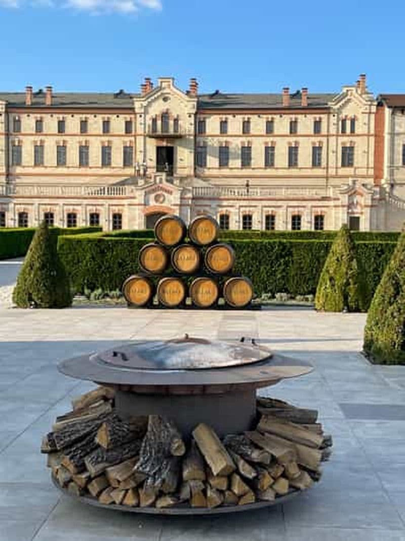 Depuis Iași : excursion d'une journée avec dégustation de vins au château Mimi