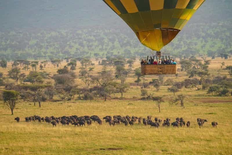 Safari privé de 3 jours en montgolfière au Serengeti depuis Zanzibar
