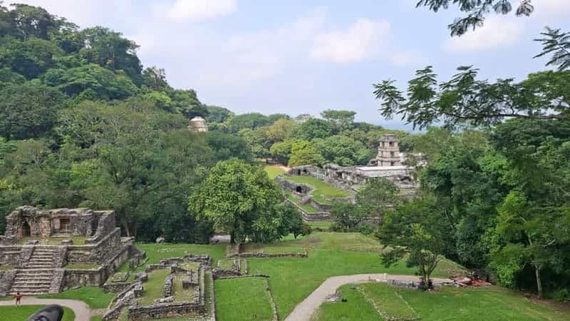 Visite à pied du site archéologique et de la jungle de Palenque