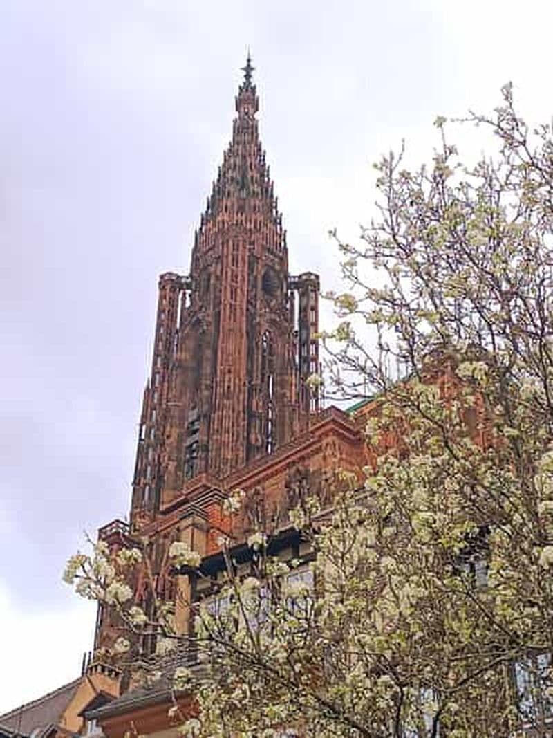 Billet Visites Guidées de la Cathédrale de Strasbourg