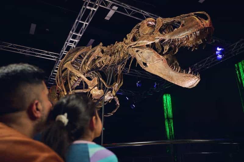 Billet Musée de Melbourne : Billet pour l'exposition Victoria the T. Rex