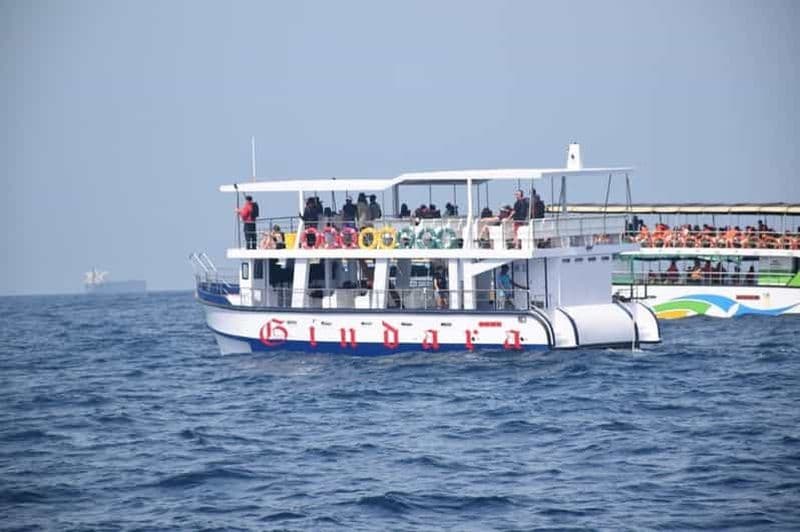 Billet Mirissa : croisière d'observation des baleines et dauphins avec l'équipage de Geeth
