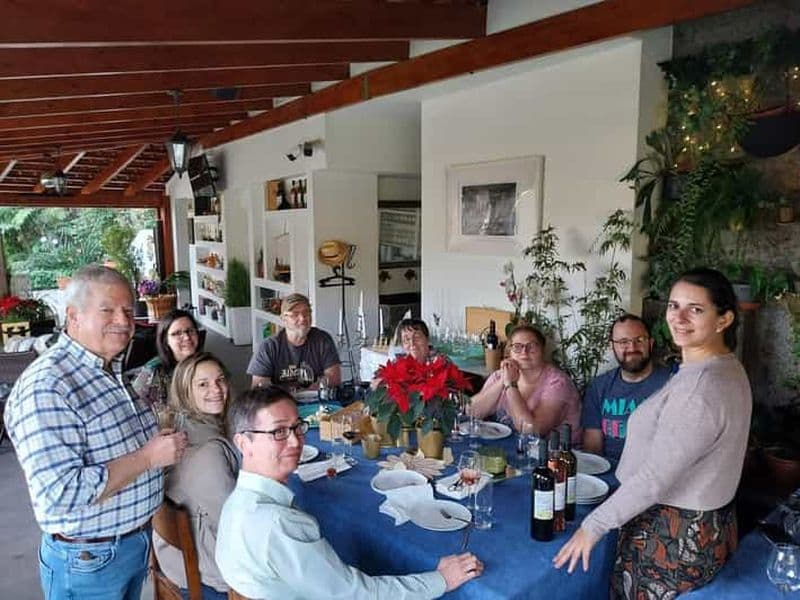 Visite de la journée du vin et déjeuner dans les vignobles