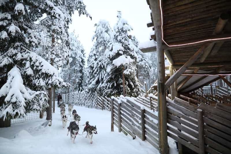 Billet Rovaniemi : balade en Husky, en renne et visite du village du Père Noël