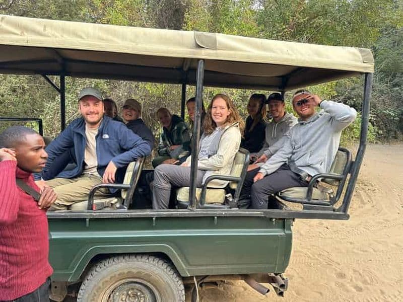 Billet Safari en voiture