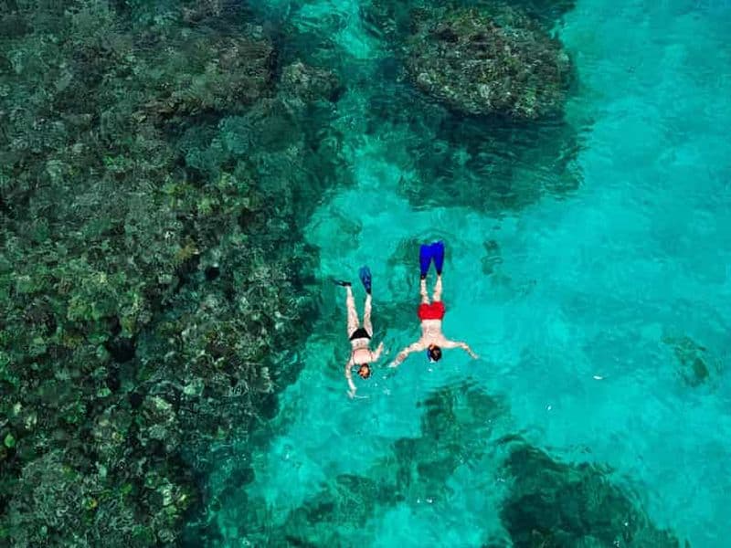 Billet Praslin : excursion d'une journée en bateau avec déjeuner à Curieuse et Saint-Pierre