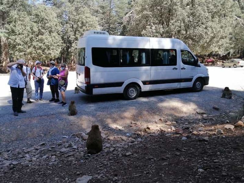 Billet Au départ de Fès : Excursion d'une journée dans le Moyen Atlas avec le parc national d'Ifrane