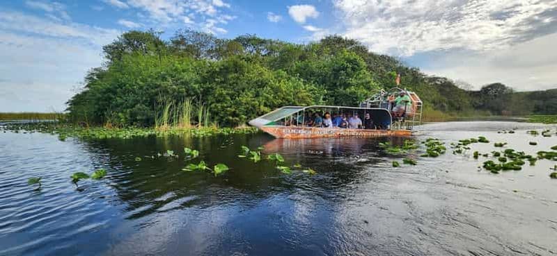 Billet Miami : Airboat des Everglades, rencontre avec les alligators et transfert en bus