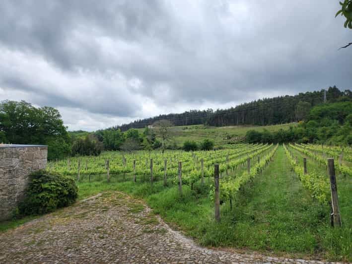 Billet Au départ de Porto : Visite d'une jounée à Guimarães et Fafe