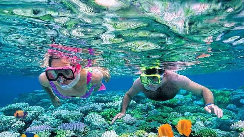 Billet Depuis Sharm El Sheikh : Excursion de plongée en apnée à Ras Mohamed en bus