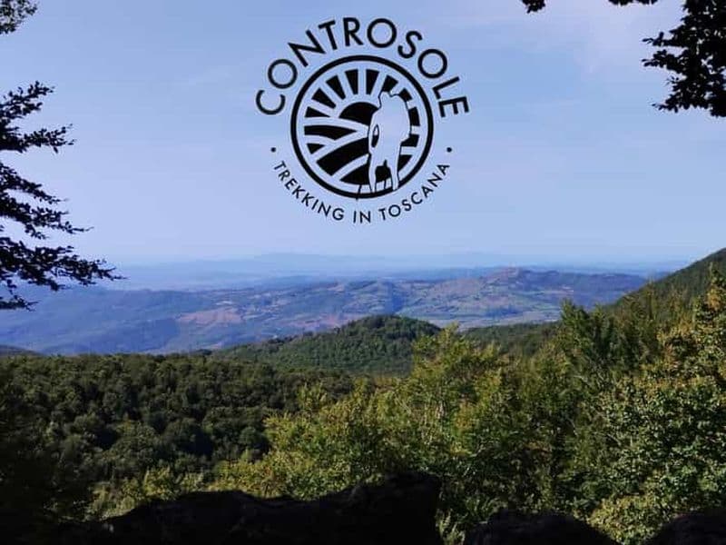 Mont Amiata : Randonnée dans les majestueuses forêts de hêtres de la montagne
