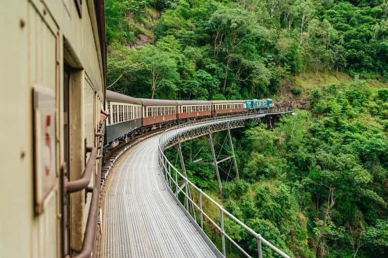 Billet Cairns : Le meilleur de la forêt tropicale de Kuranda : visite d'une jounée et déjeuner