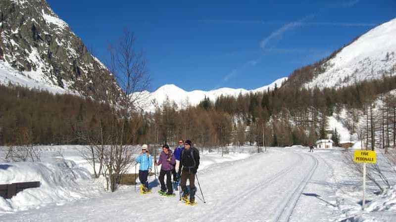 Courmayeur : Balade en raquettes au coucher du soleil et visite des animaux de la ferme