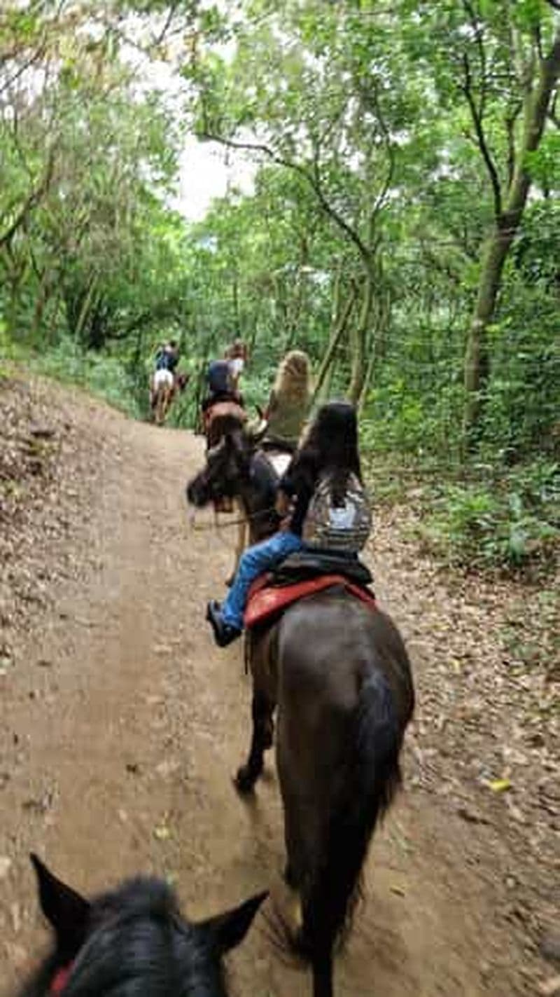 Rio de Janeiro : balade à cheval, cascade et plages