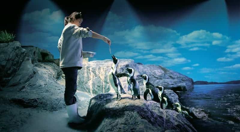 Billet Bangkok : billet d'entrée au SEA LIFE Bangkok Ocean World