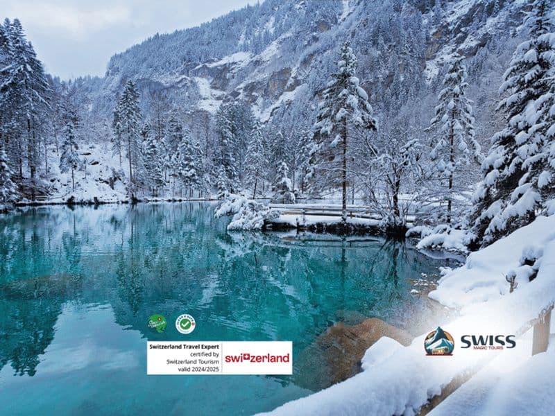 Billet Lac Blausee et charmante excursion privée d'une journée à Interlaken
