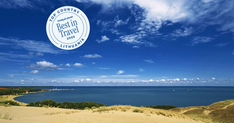 Billet Depuis Klaipėda : Excursion d'une journée à l'Isthme de Courlande avec guide