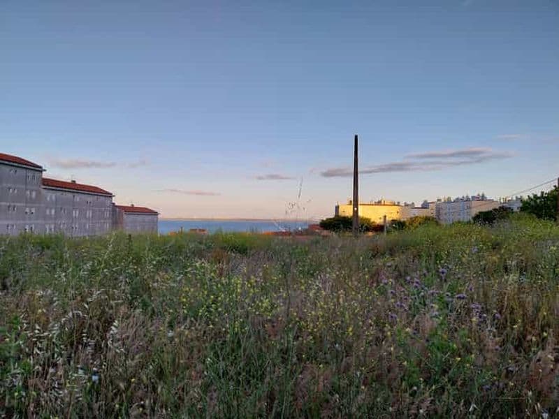 Billet Marvila - Visite de quartier StreetArt