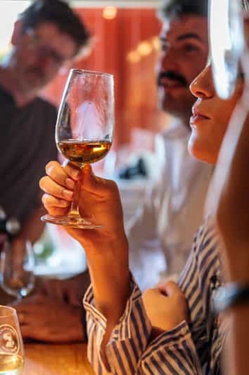 Billet Lisbonne : visite du vignoble de Carcavelos et dégustation de vins