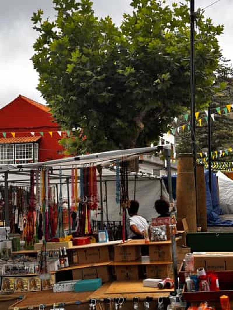 Billet Le Marché de Teror : Cœur vivant des traditions canariennes